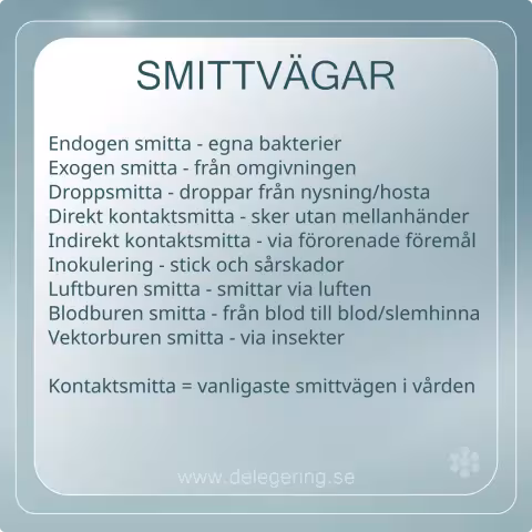 Smittvägar